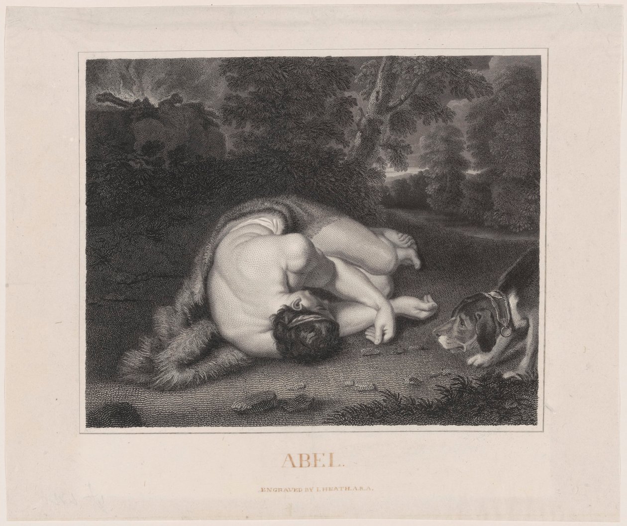 Śmierć Abla autorstwa Peter Paul Rubens