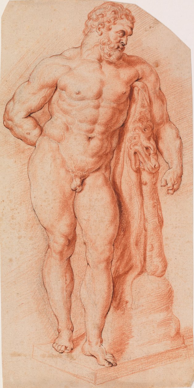 Der Farnesische Herkules, Neapel autorstwa Peter Paul Rubens