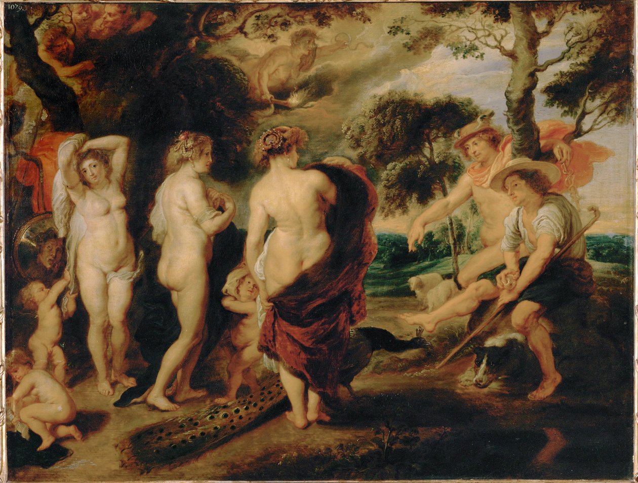Wyrok w Paryżu (obraz na drewnie dębowym) autorstwa Peter Paul Rubens