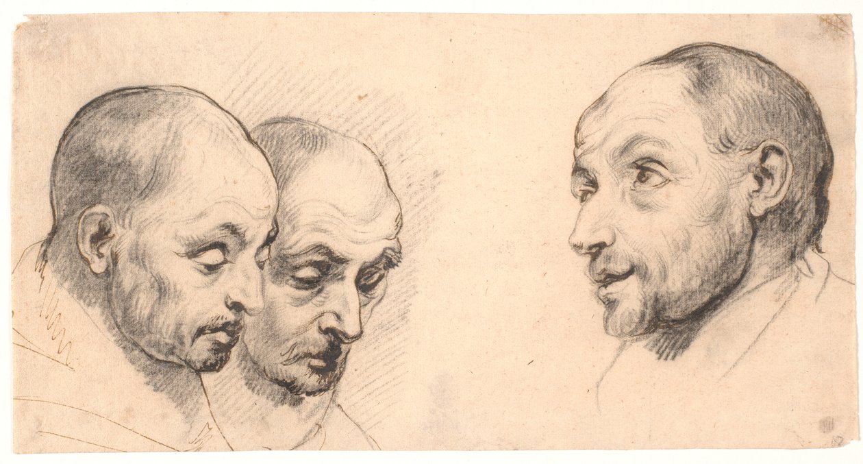 Trzy głowy mężczyzn autorstwa Peter Paul Rubens