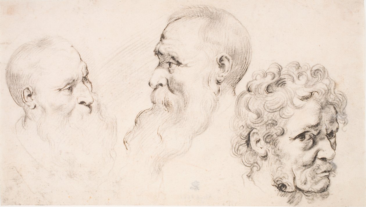 Trzy głowy mężczyzn autorstwa Peter Paul Rubens