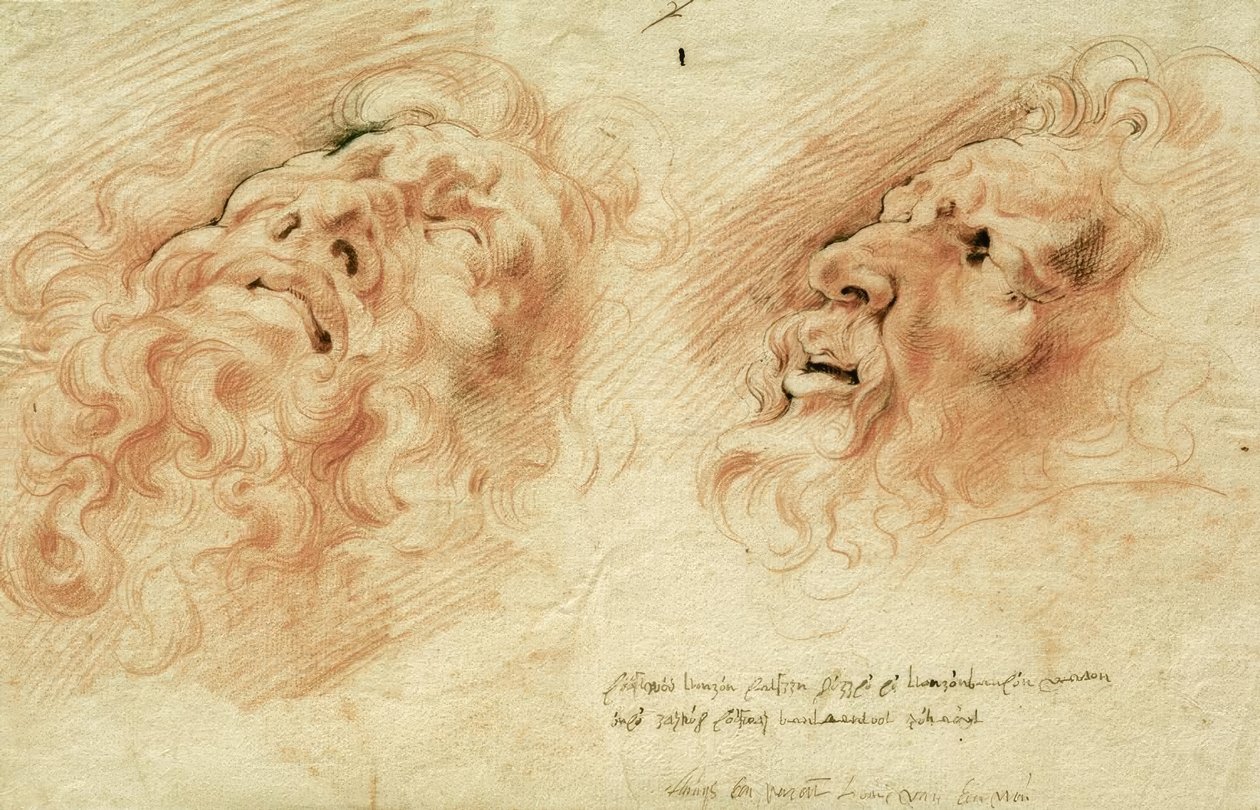 Dwa studia po szefie Laokoona autorstwa Peter Paul Rubens