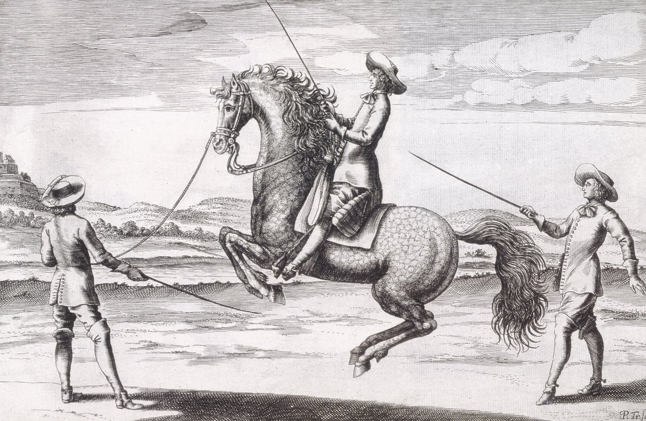Ilustracja konia en Croupade z Nowego traktatu o hodowli koni napisanego przez Wintersa, Stutereya i Reit-Schula, wyd. 1672 autorstwa Peter Paul Troschel