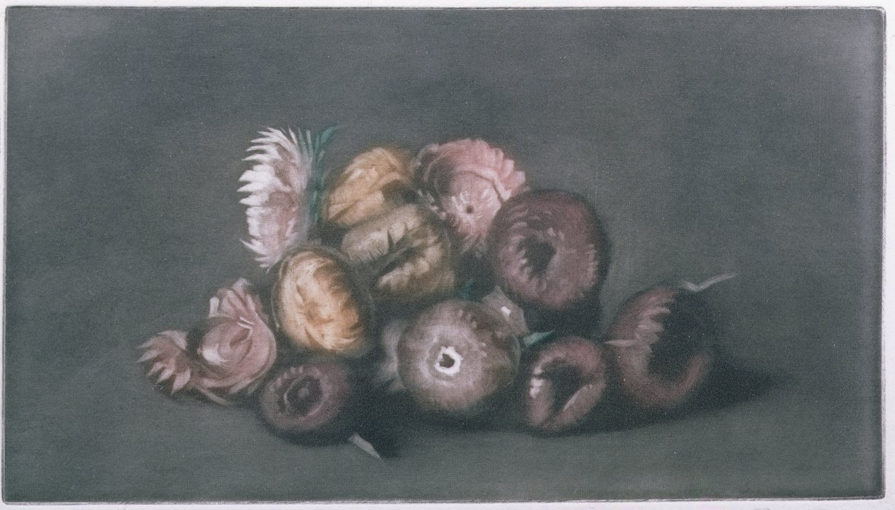 Martwa natura z suszonych kwiatów (kolorowa mezzotinta) autorstwa Peter Vilhelm Ilsted