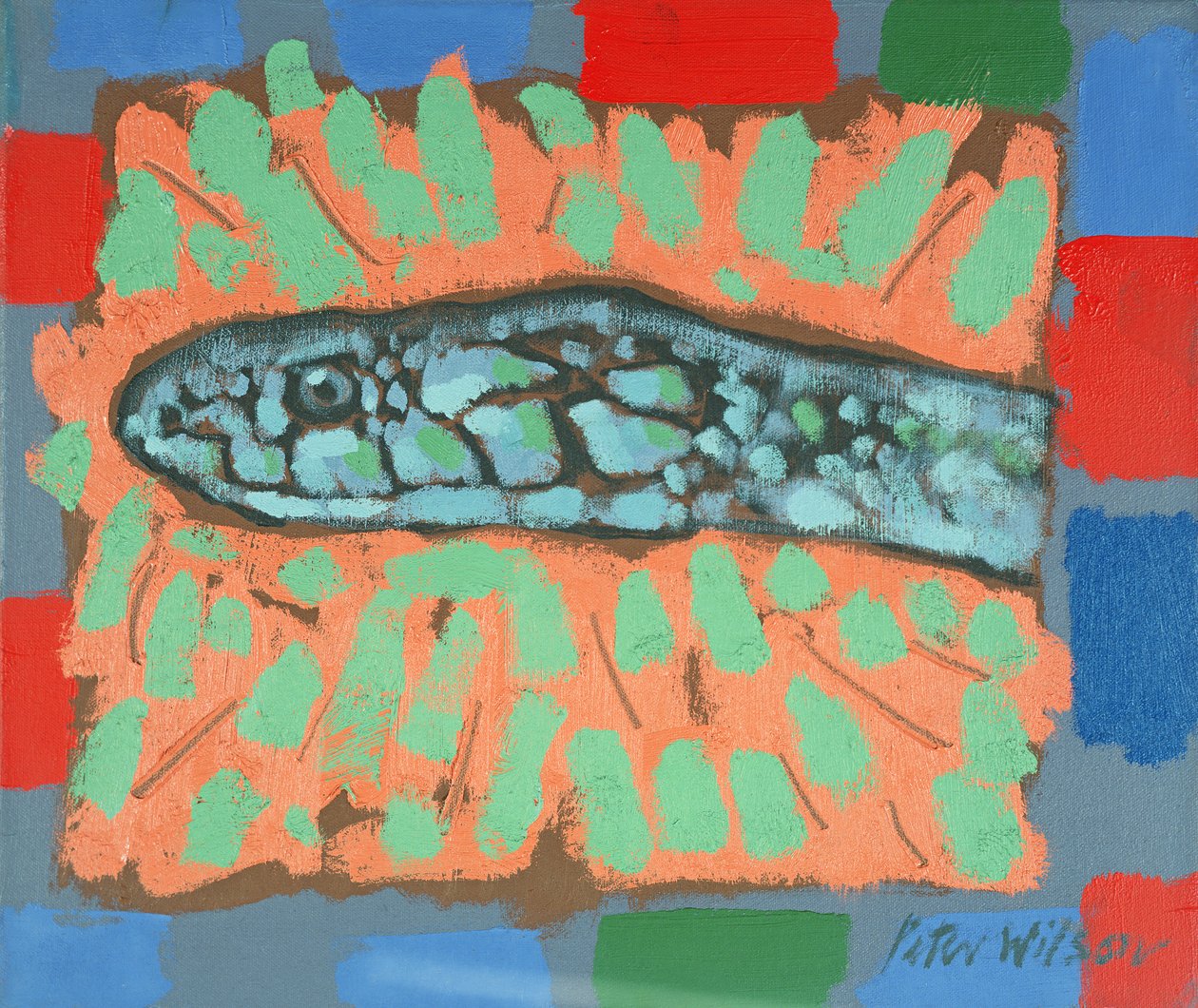 Snake-Head autorstwa Peter Wilson