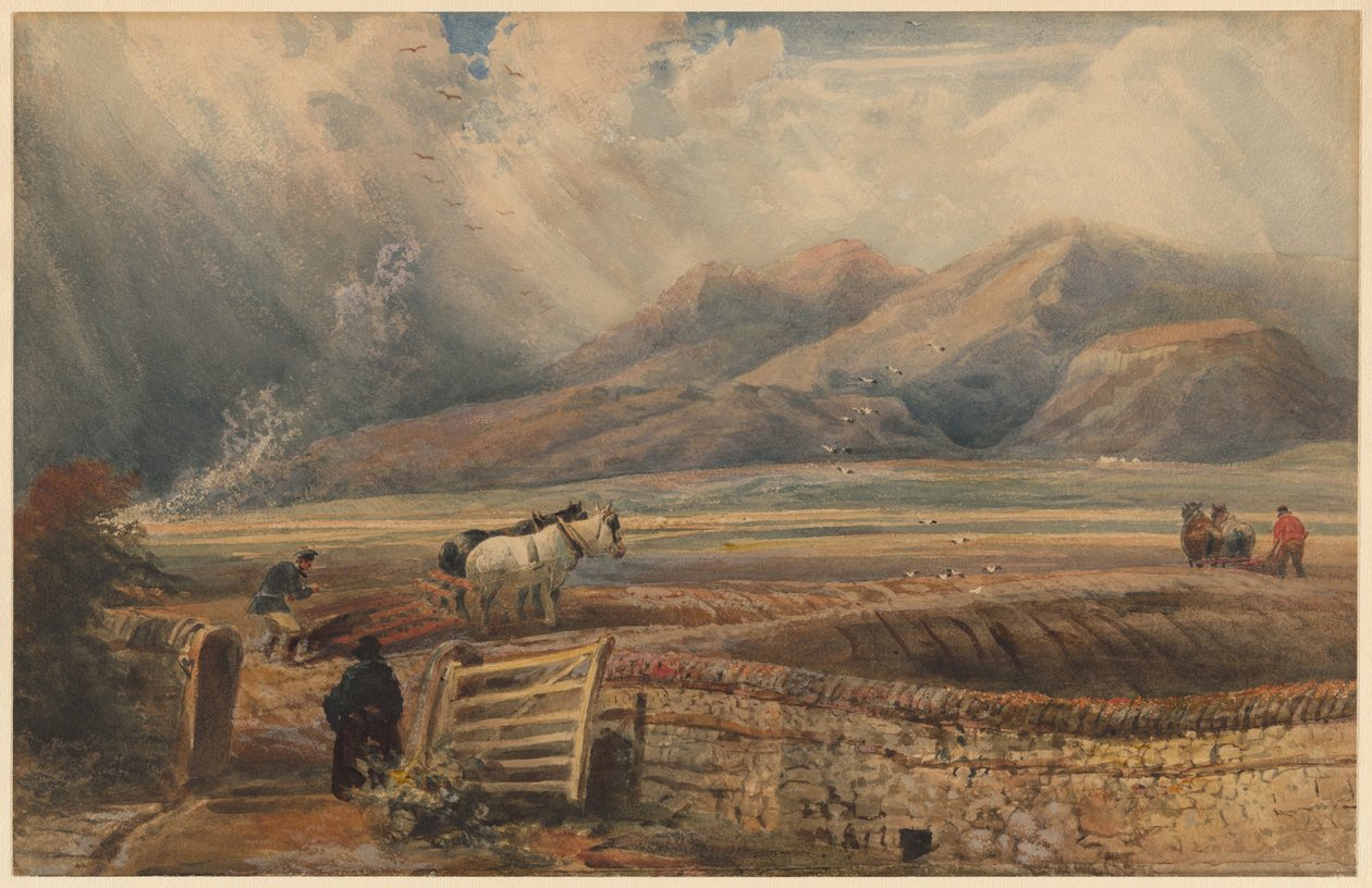 Bronowanie - Widok w pobliżu Cross Fells autorstwa Peter de Wint