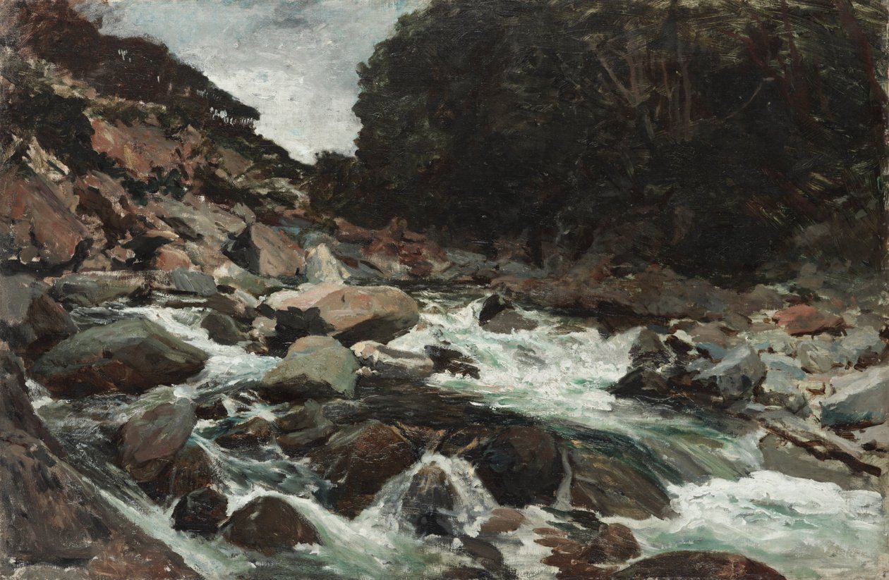 Górski potok, wąwóz Otira autorstwa Petrus van der Velden