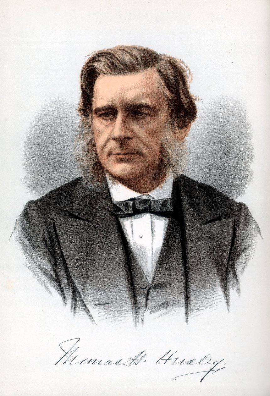 Thomas Henry Huxley, angielski biolog, c1890. autorstwa Petter and Galpin Cassell