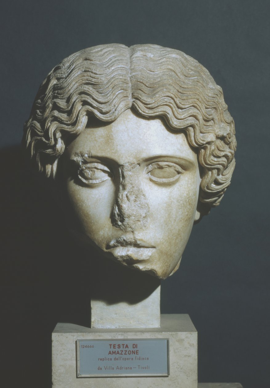 Głowa Amazona autorstwa Phidias Phidias
