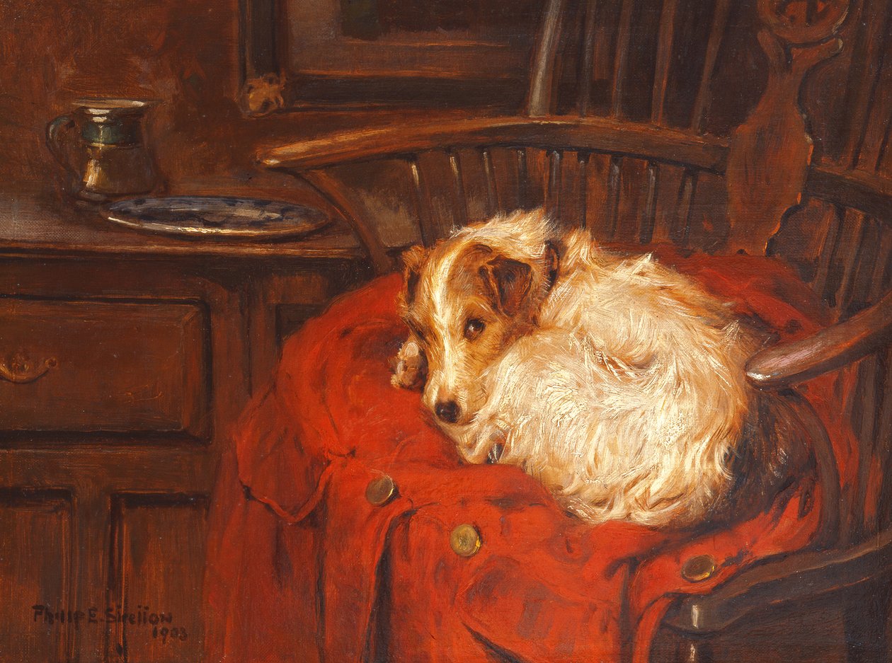Ulubione krzesło, 1903 autorstwa Philip Eustace Stretton