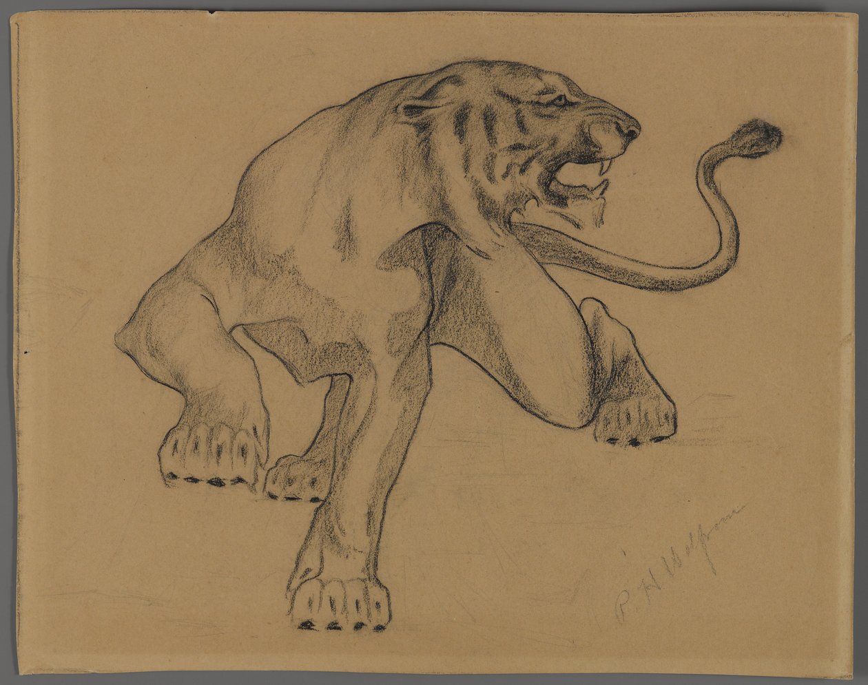 Tygrys (ołówek na papierze historia) autorstwa Philip H. Wolfrom