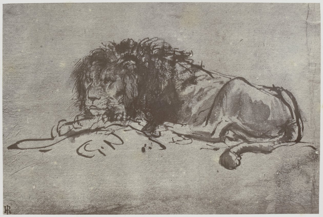 Rembrandt, Lew autorstwa Philip Henry Delamotte