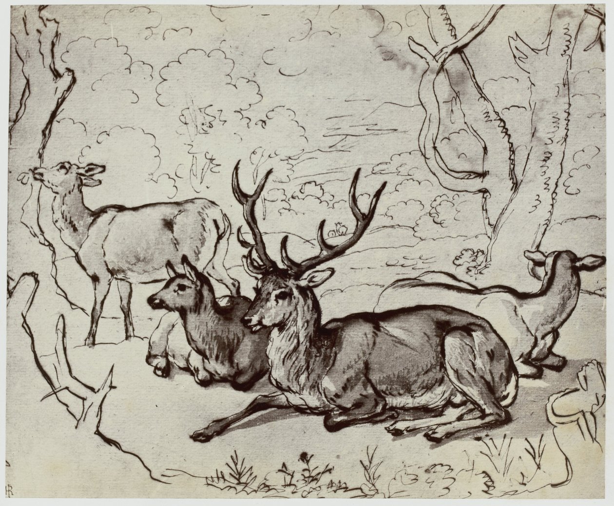 Jeździec, Jeleń autorstwa Philip Henry Delamotte
