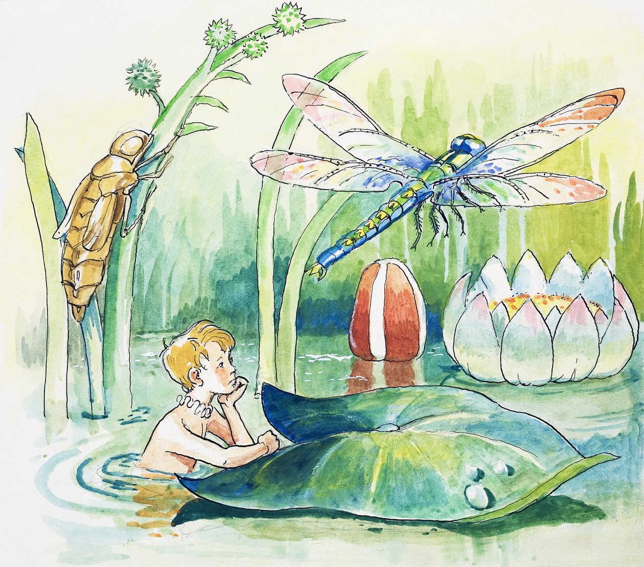 Ważka, ilustracja z książki "The Water Babies" autorstwa Charlesa Kingsleya autorstwa Philip Mendoza