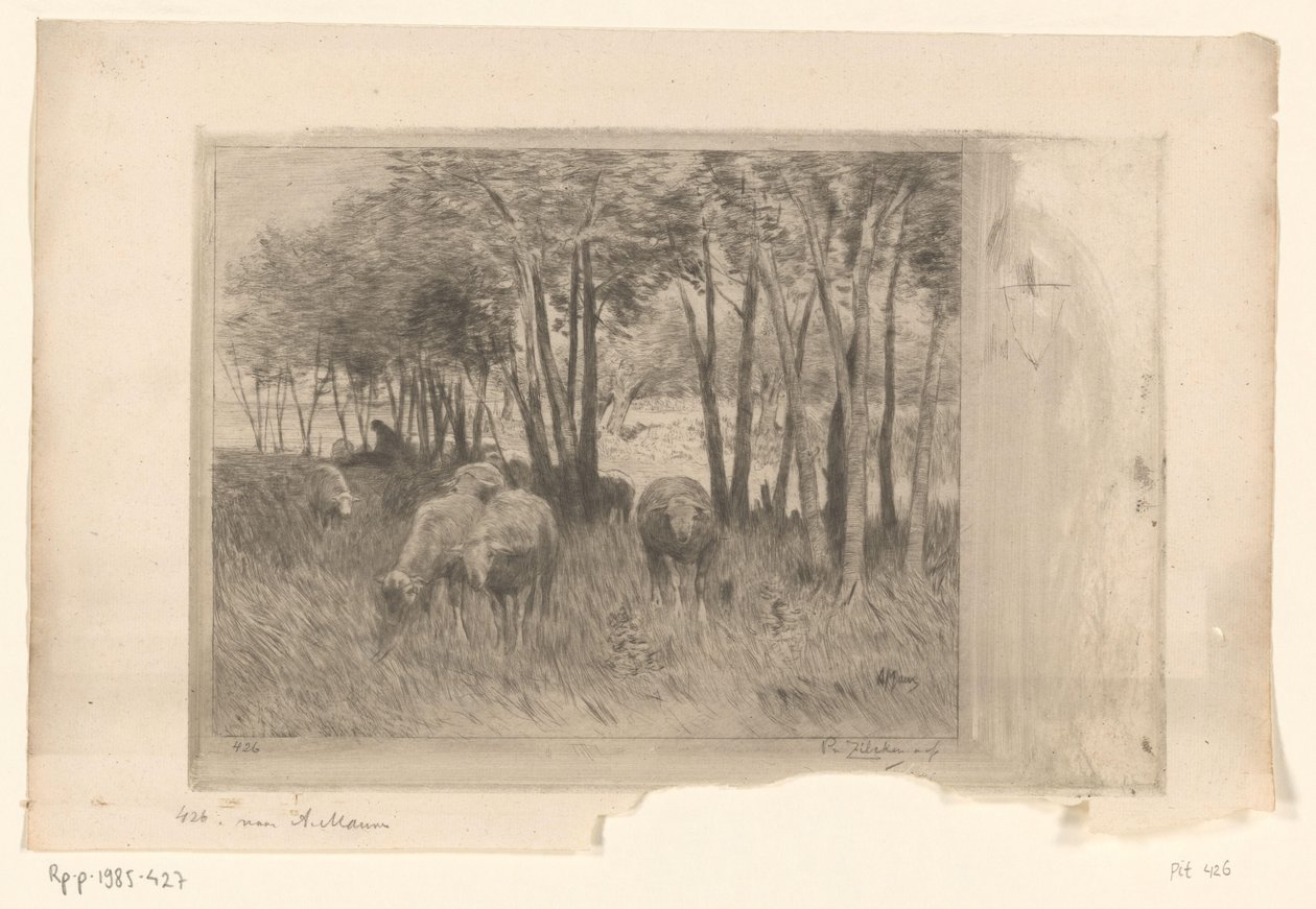 Stado owiec i pasterz na łące z drzewami Moutonowie (tytuł oryginalny) autorstwa Philip Zilcken (signed by artist)