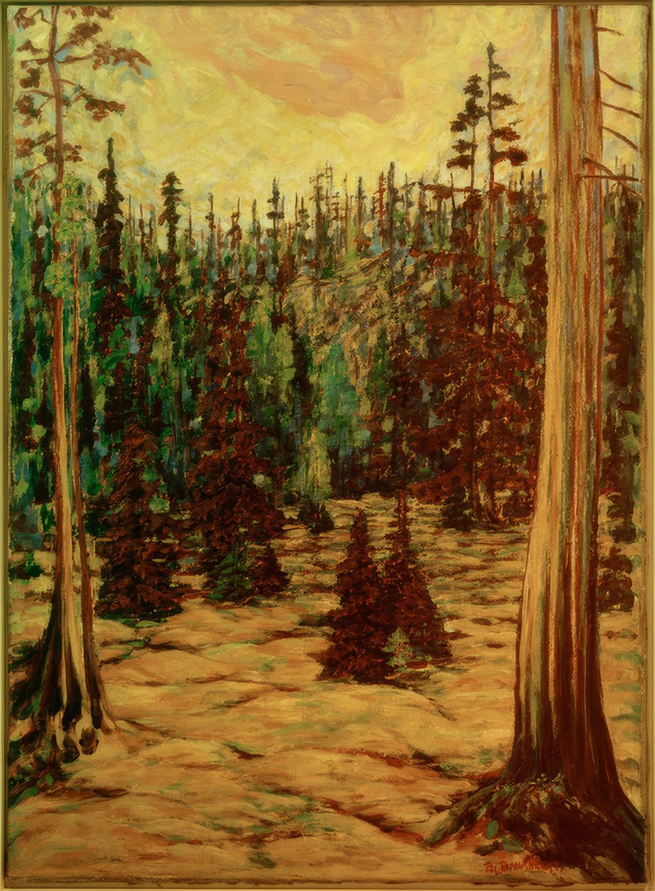 Sommerwald autorstwa Philipp Bauknecht