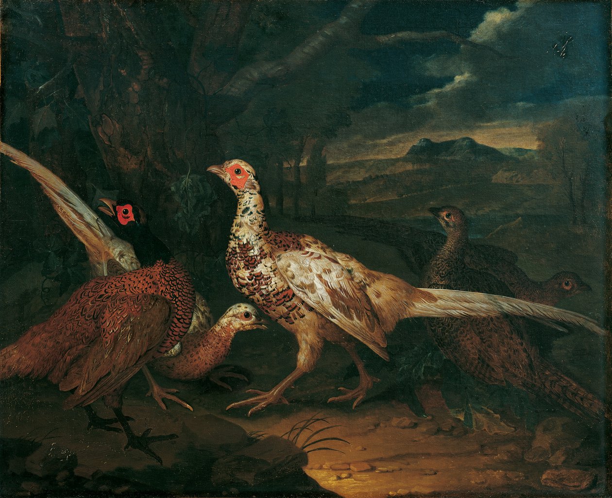 nękać autorstwa Philipp Ferdinand de Hamilton