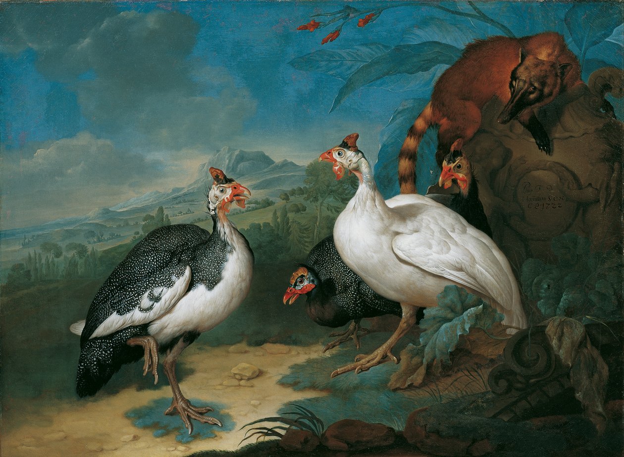 Perliczka i ostronos autorstwa Philipp Ferdinand de Hamilton