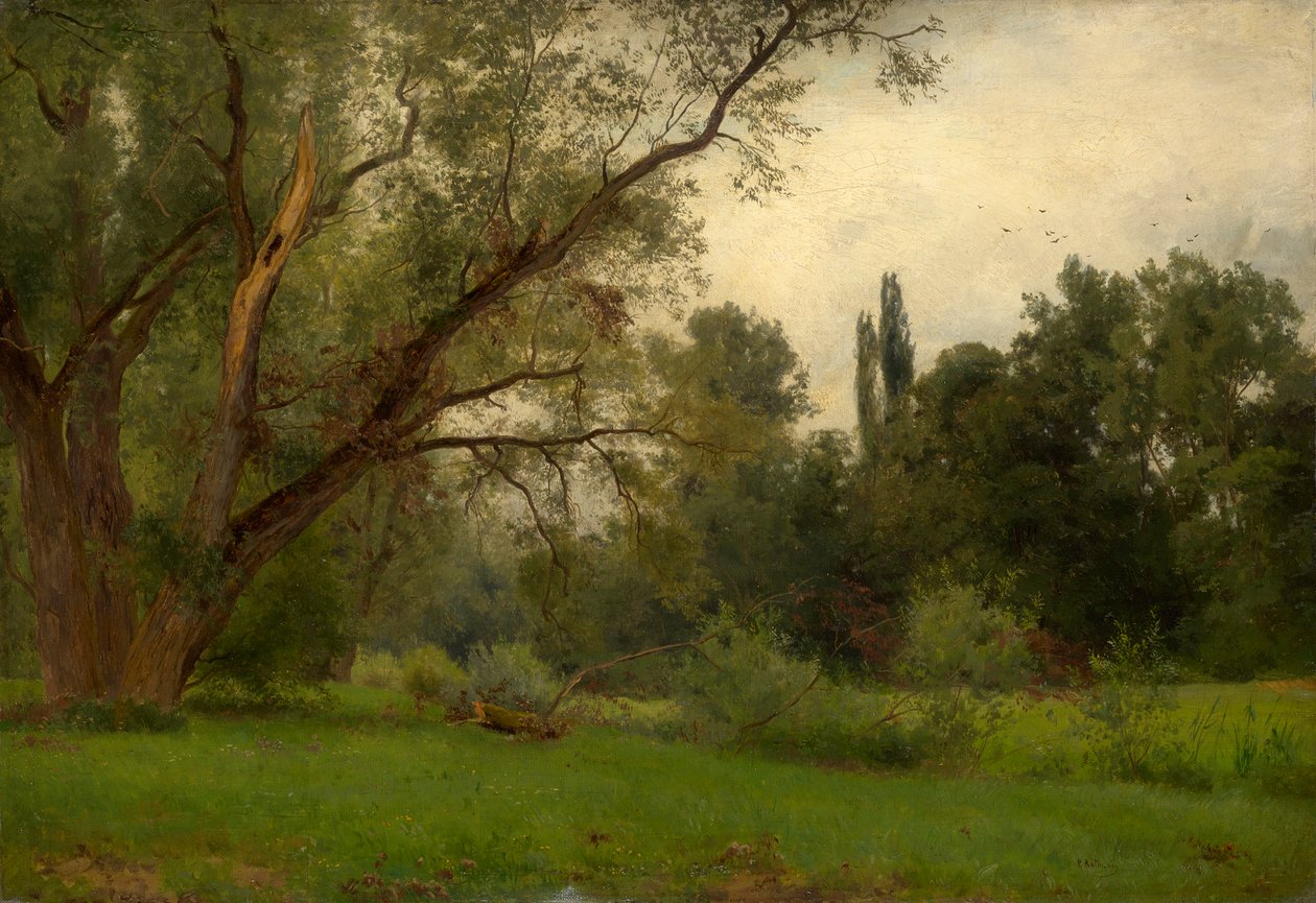 W parku Kleinheubach am Main autorstwa Philipp Röth