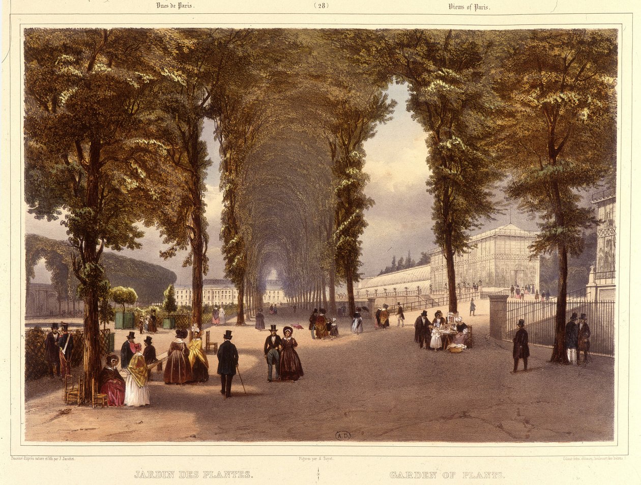 Le Jardin des Plantes - w „Spacer po Paryżu i okolicach” Jacottet i Benoist, Paryż, ok. 1840 autorstwa Philippe Benoist