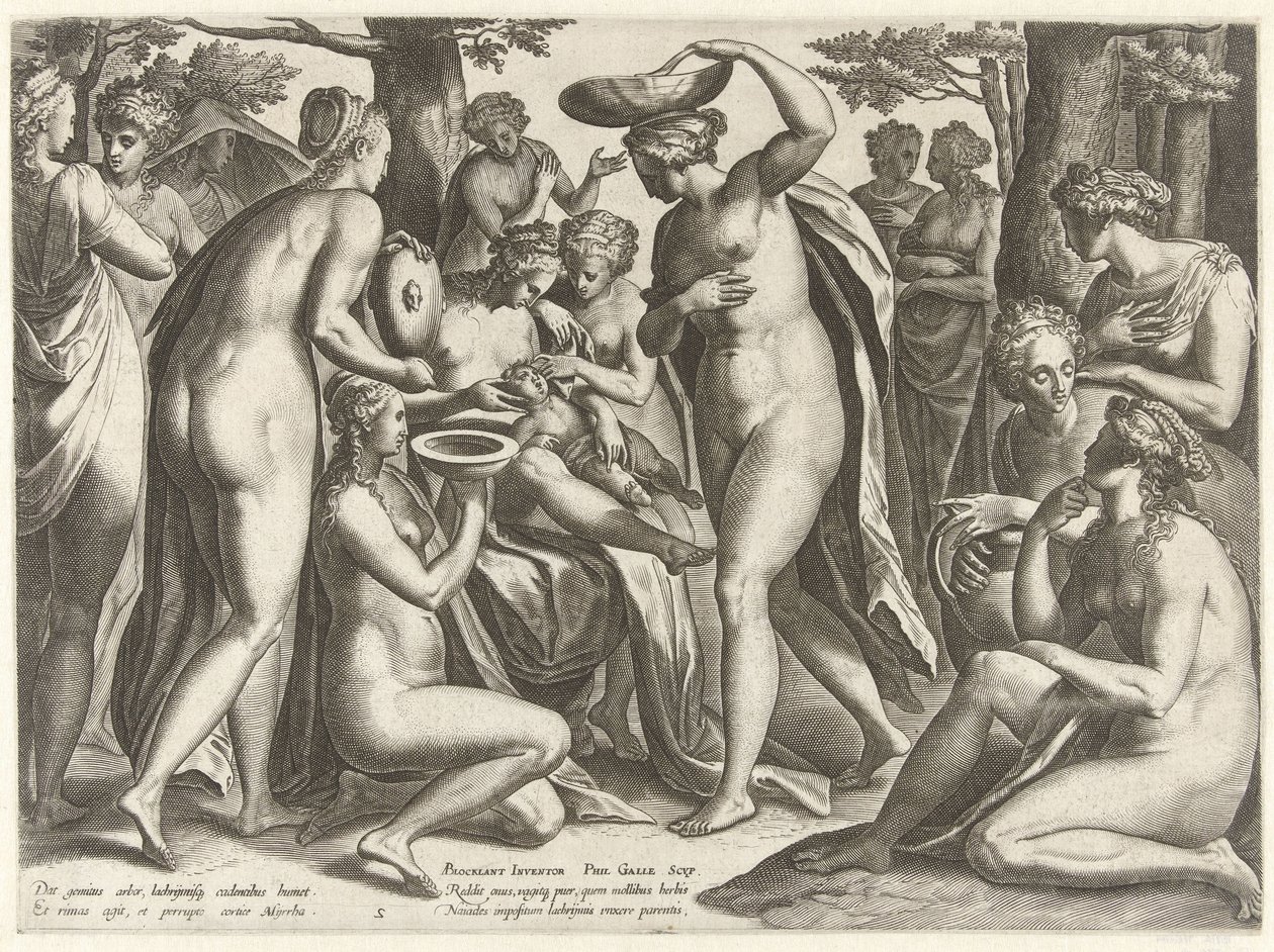 Edukacja Adonisa Historia Adonisa (tytuł serii) autorstwa Philips Galle