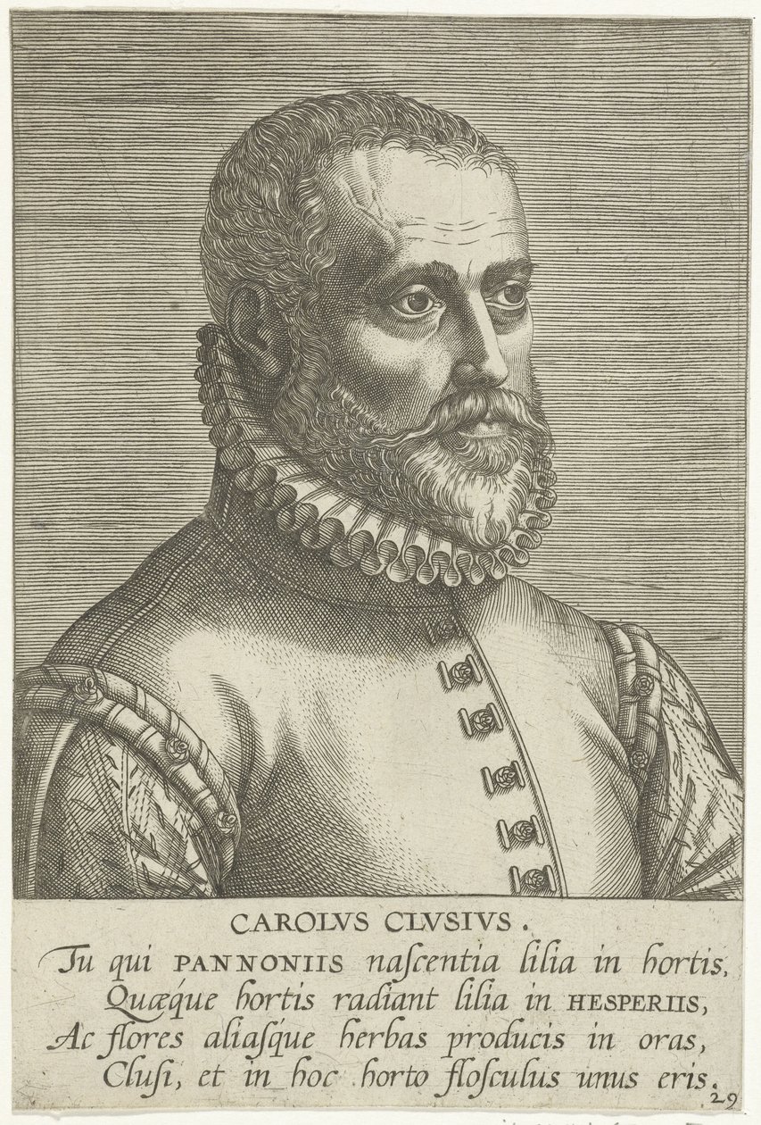 Portret Carolusa Clusiusa autorstwa Philips Galle