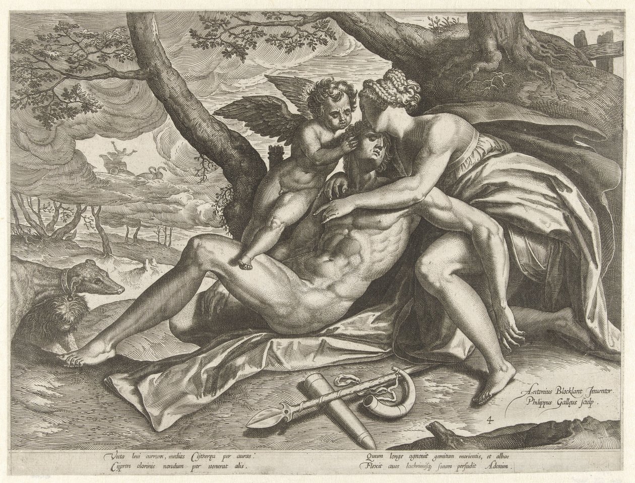 Wenus opłakuje śmierć Adonisa Historia Adonisa (tytuł serii) autorstwa Philips Galle