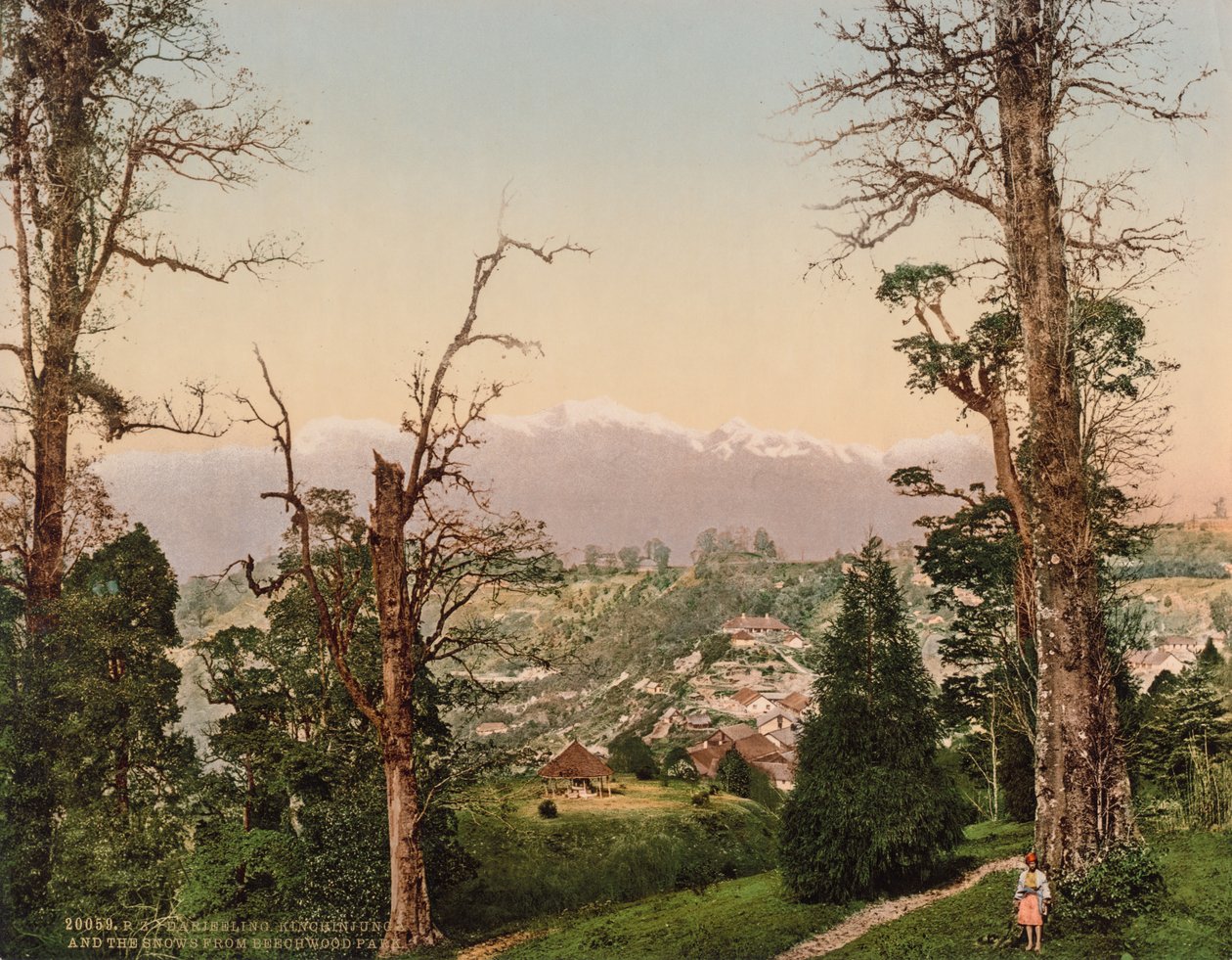 Dardżyeling. Kinchinjunga i śniegi z Beechwood Park autorstwa Photoglob Co. (Zurich, active c. 1890 1910)