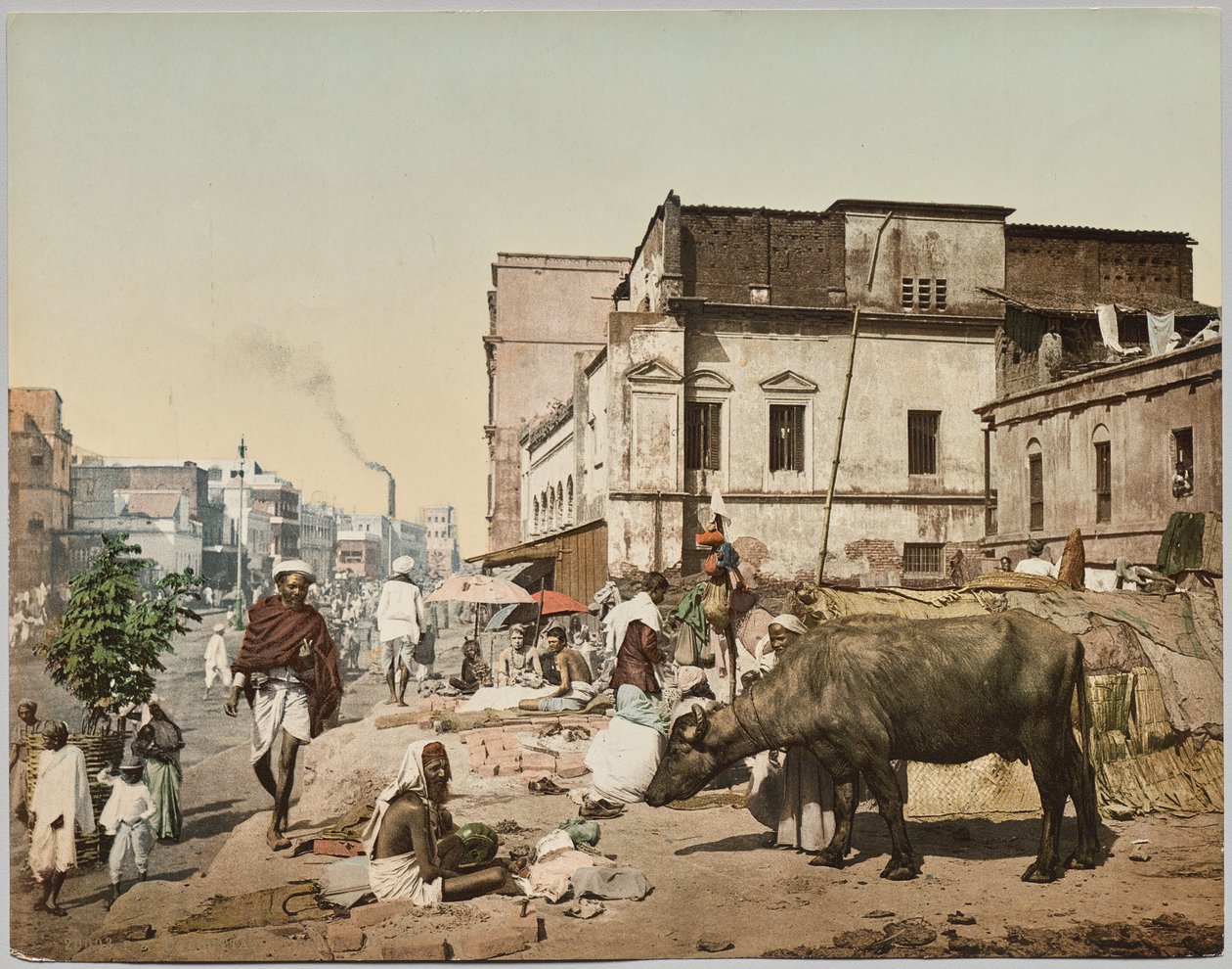 Indie. Kalkuta. Harrison Road I z Group of Jogees, za zdjęciem dr Kurta Boeck autorstwa Photoglob Co. (Zurich, active c. 1890 1910)