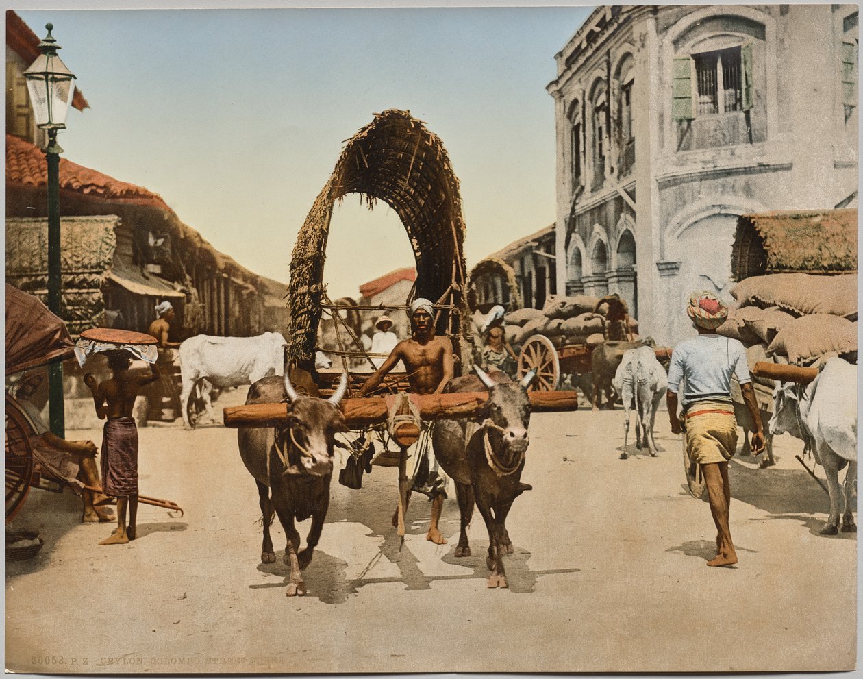 Indie. Cejlon. Colombo. Scena uliczna, fot. dr Kurt Boeck autorstwa Photoglob Co. (Zurich, active c. 1890 1910)
