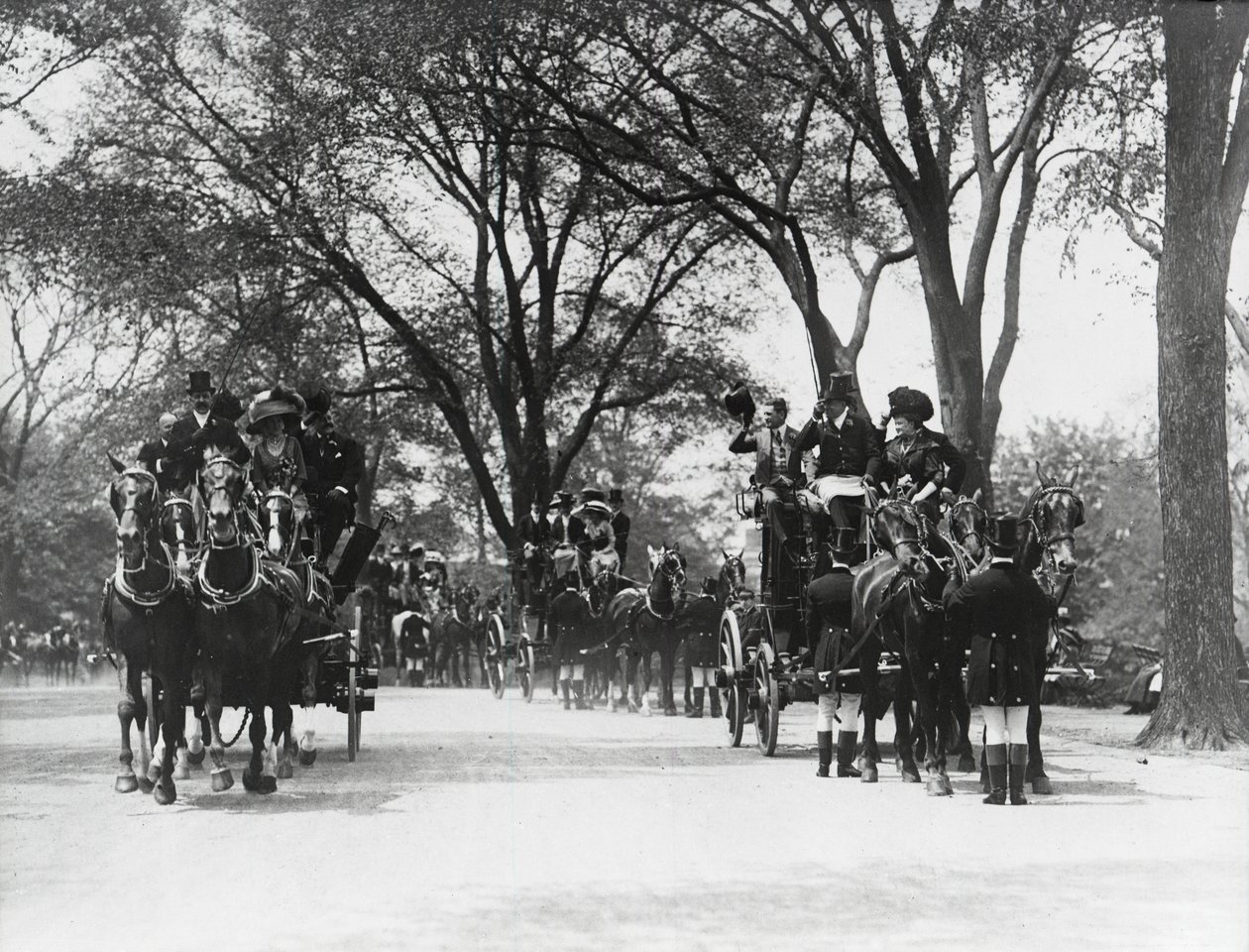 Coaching, Central Park (zdjęcie czarno-białe) autorstwa Photographer American
