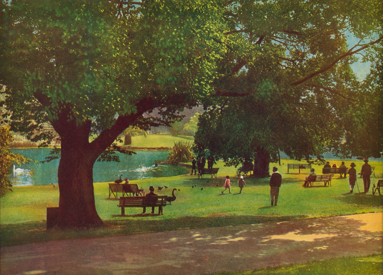 Ogród Botaniczny, Melbourne (zdjęcie kolorowe) autorstwa Photographer Australian