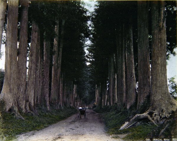 Riksza na zadrzewionej drodze w Nikko, ok. 1900 (kolorowe zdjęcie) autorstwa Photographer Japanese