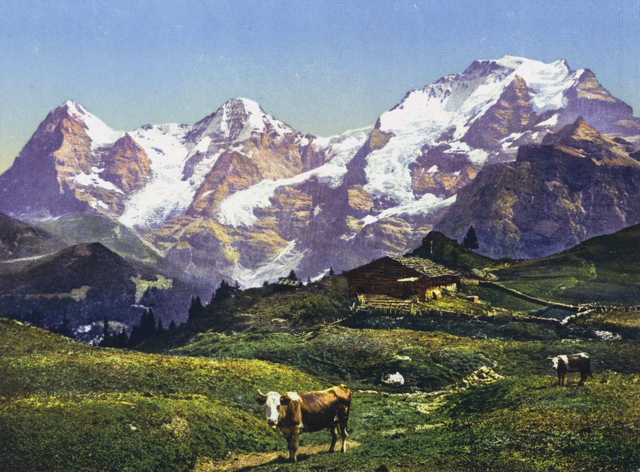Eiger, Monch i Jungfrau (zdjęcie) autorstwa Photographer Swiss