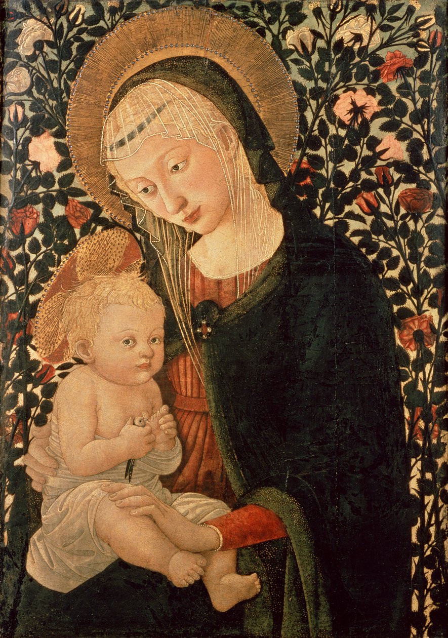 Nieznany obraz autorstwa Pier Francesco Fiorentino