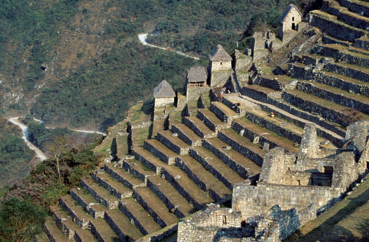 Tarasy, Machu Picchu (lista światowego dziedzictwa UNESCO) autorstwa Blaise Nicolas Le Sueur