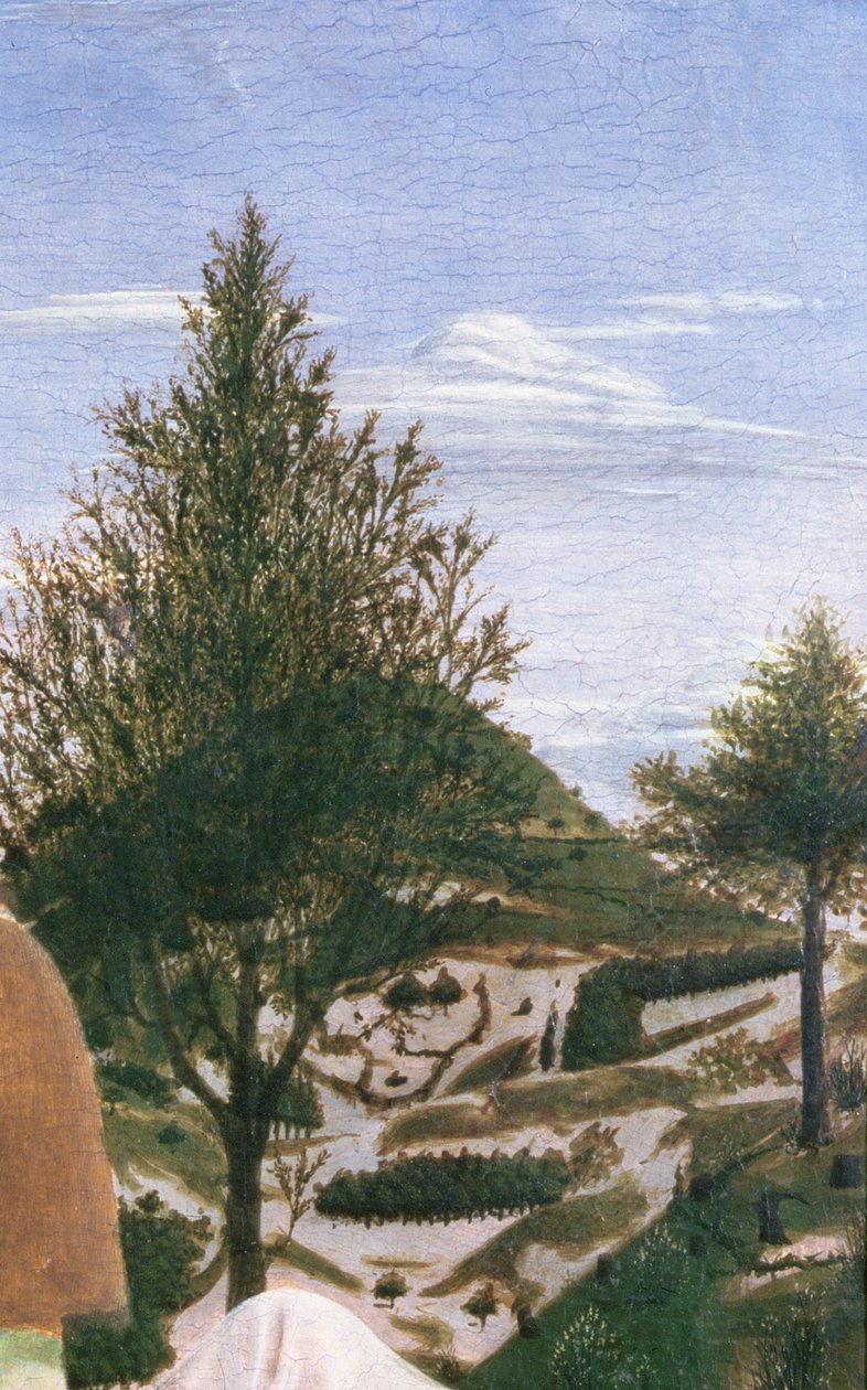 Chrzest Chrystusa, lata pięćdziesiąte XIV wieku (tempera na desce) (detal 372) autorstwa Piero della Francesca