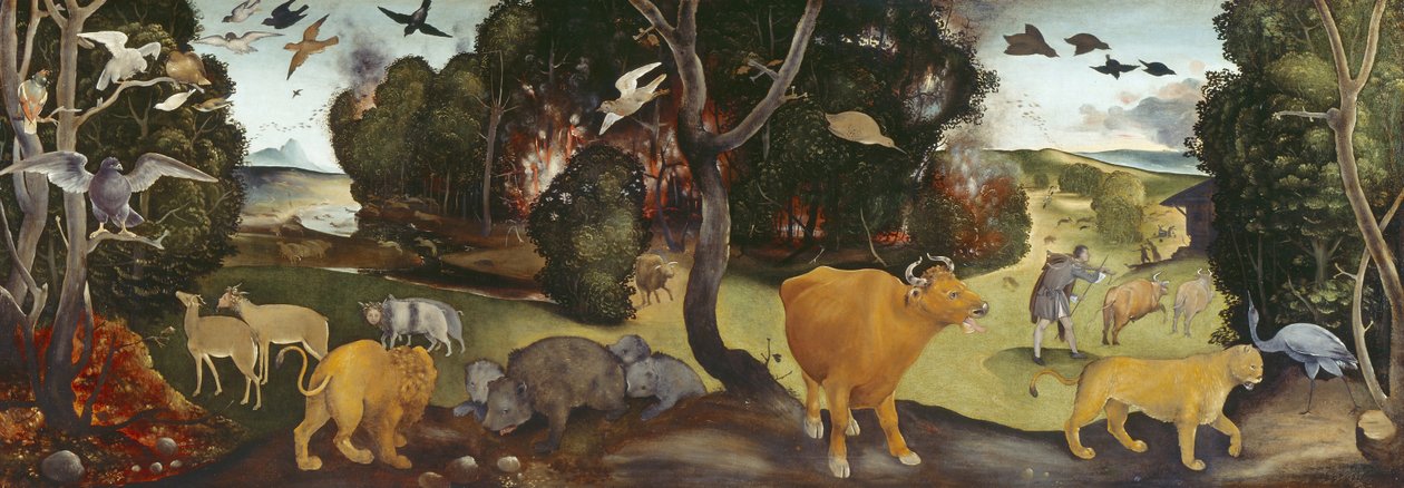 Pożar lasu, XV w. autorstwa Piero di Cosimo