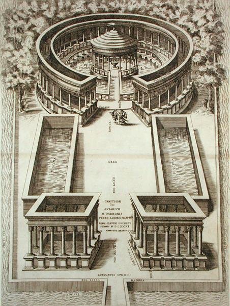 Woliera Varro, z „Roma Verus et Nuova”, J. Laurus, opublikowana 1614 (rycina) autorstwa Piero (after) Ligorio