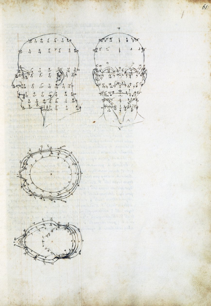 Konstrukcja i rzut geometryczny głowy, strona z De Prospectiva pingendi (O perspektywie malarstwa), Piero della Francesca (ca 1415-1492), Włochy autorstwa Piero della Francesca