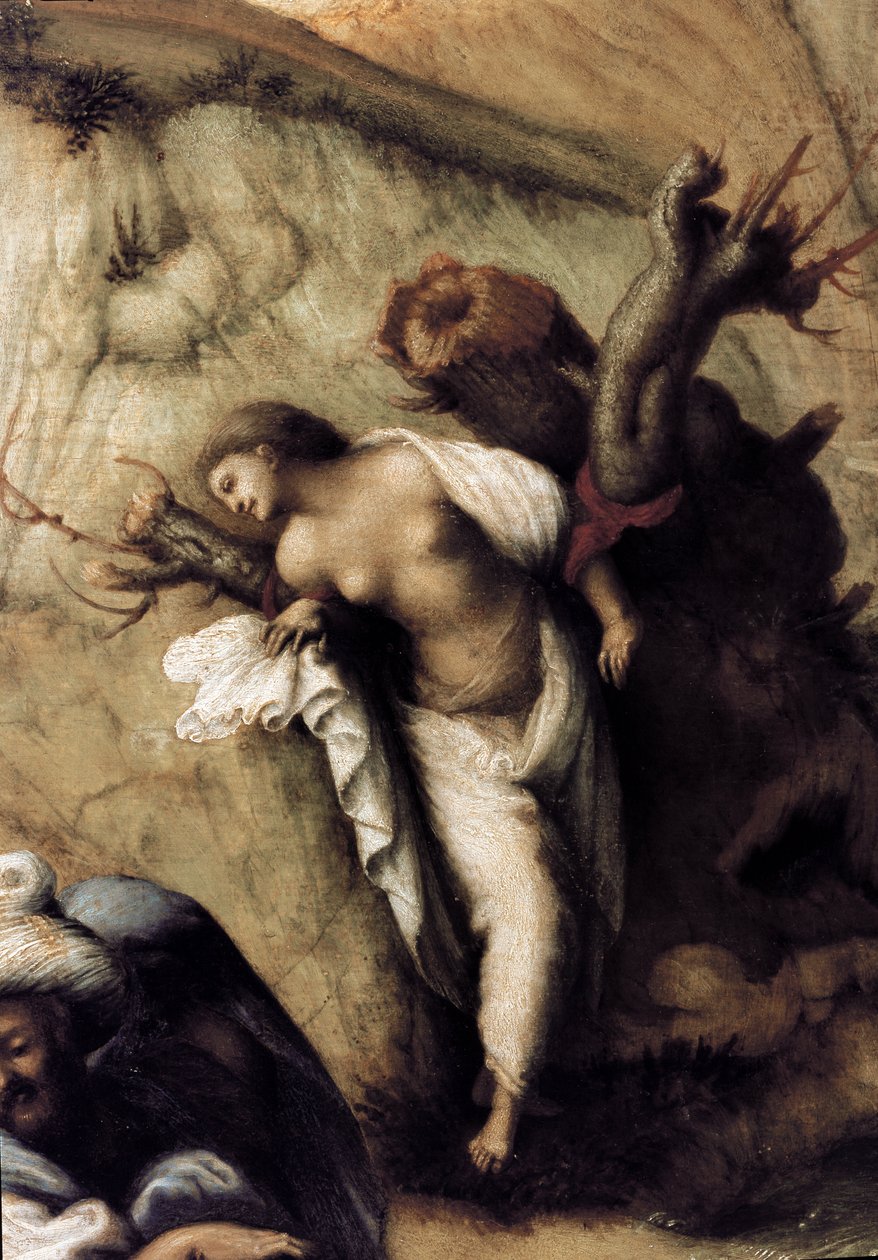 Andromeda dostarczona przez Persee, detal (1510, olej na płótnie) autorstwa Piero di Cosimo