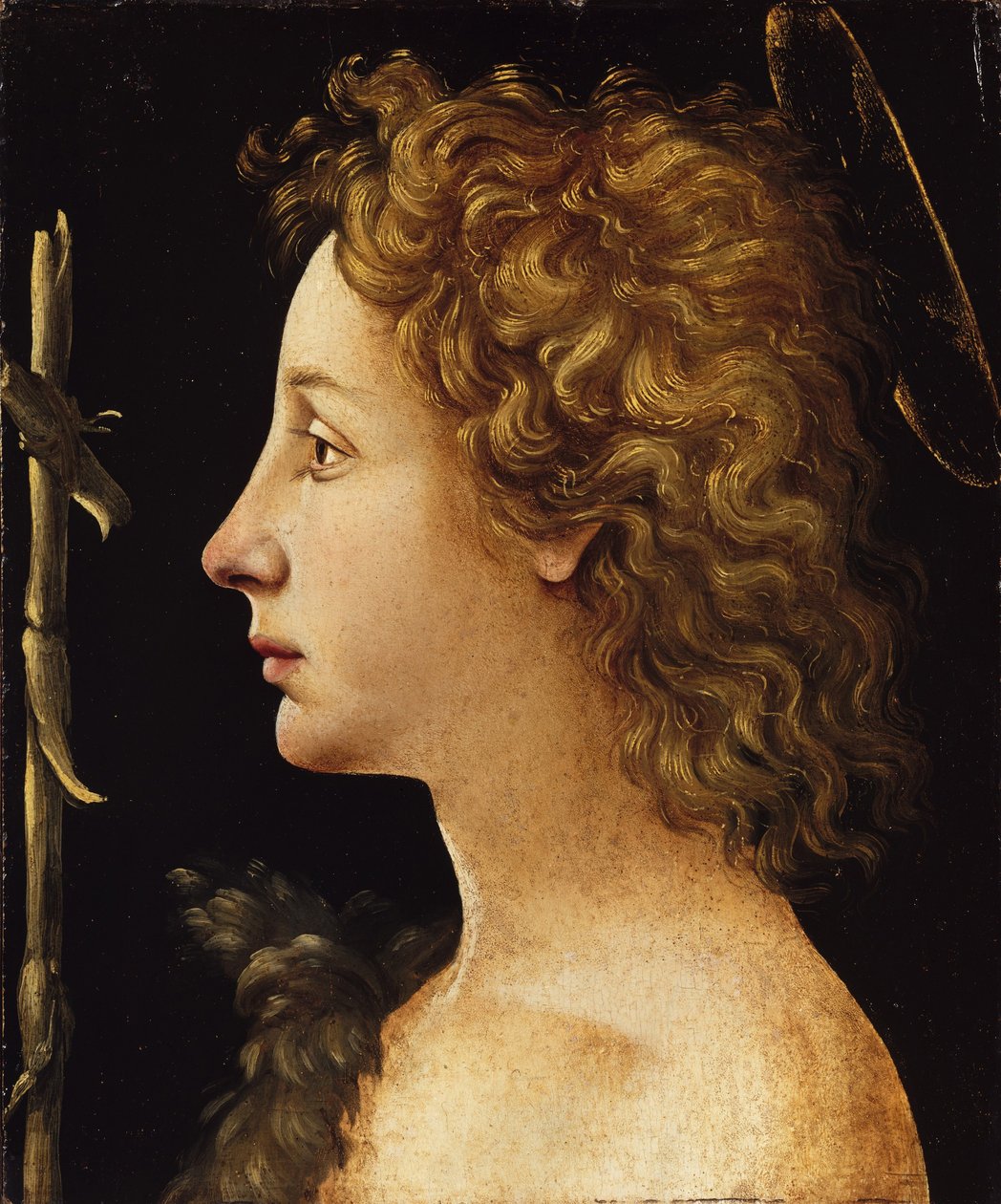 Młody św. Jan Chrzciciel (tempera i olej na drewnie) autorstwa Piero di Cosimo