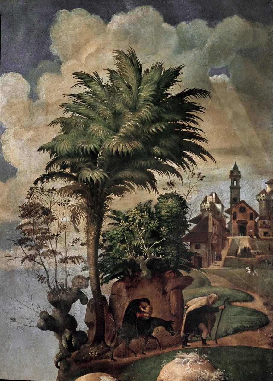 Dziewica z Dzieciątkiem na tronie w otoczeniu świętych, detal (olej i tempera na desce, ok. 1493) autorstwa Piero di Cosimo