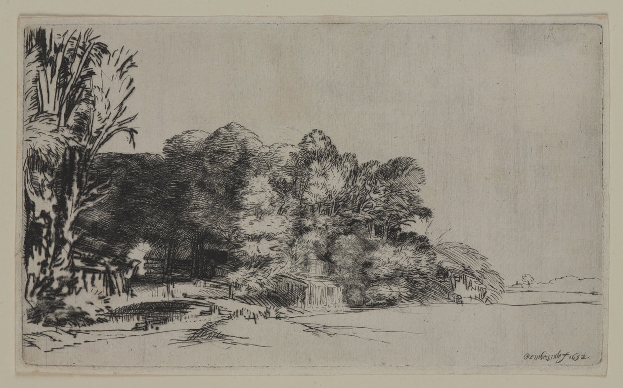 Kępka drzew z Vista, 1652 (sucha igła na papierze wykładanym) autorstwa Pierre Auguste Renoir