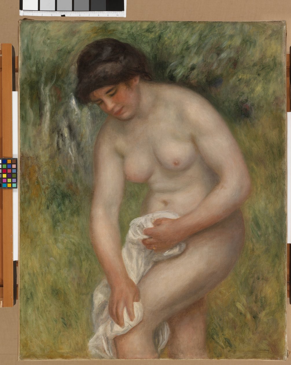 Akt, zielone tło, 1902 autorstwa Pierre Auguste Renoir