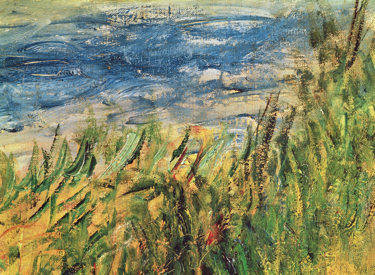 Brzegi Sekwany w Champrosay, fragment wody i trawy w centrum obrazu, 1876 (detal z 38573) autorstwa Pierre Auguste Renoir