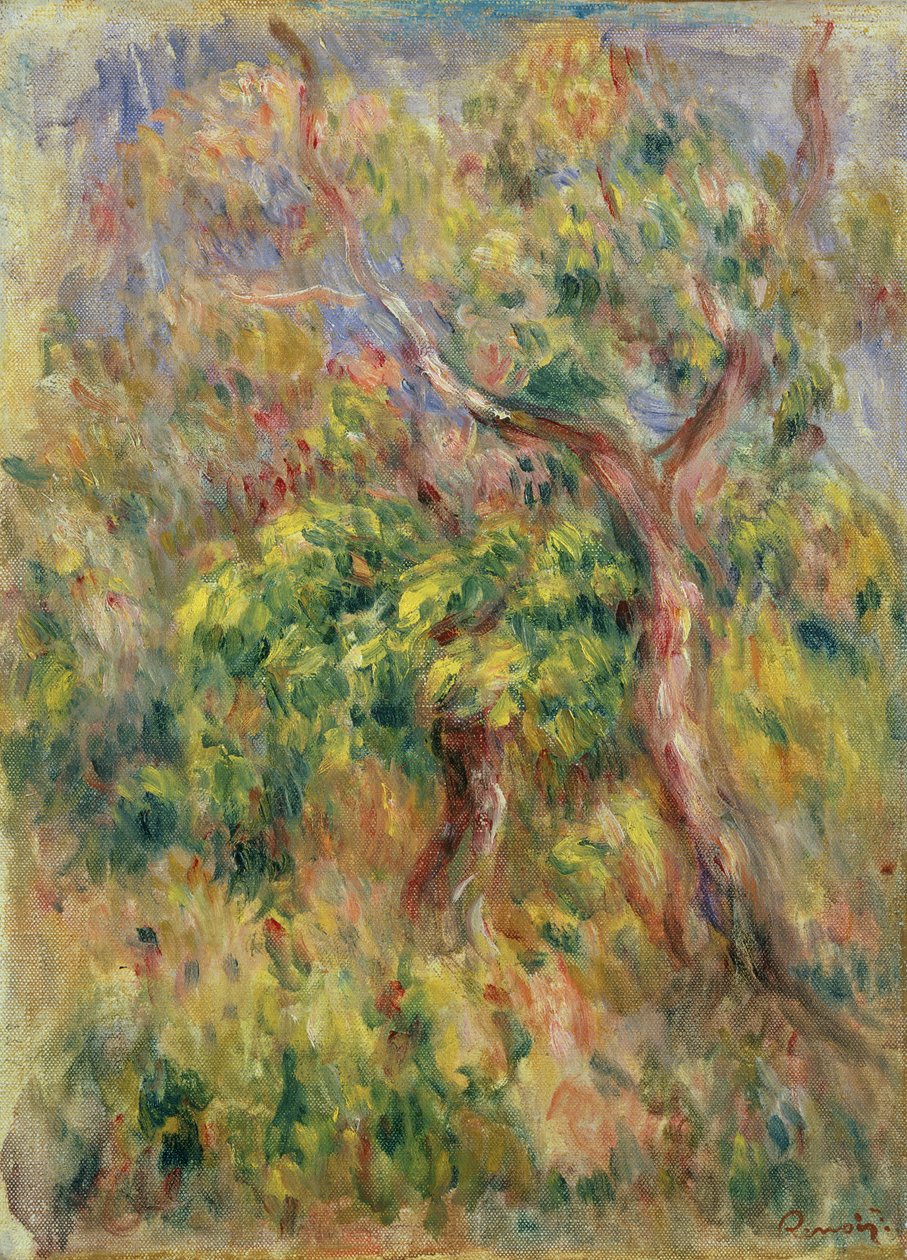 Drzewa, 1915-16 autorstwa Pierre Auguste Renoir