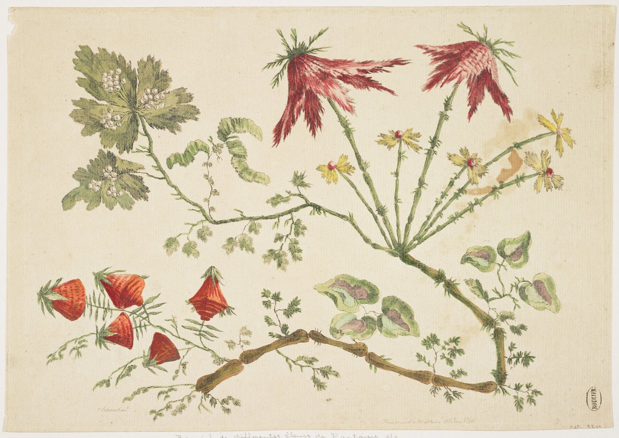 Ornament, Chinoiserie, Kwiaty, 30 czerwca 1760 (kolorowa akwaforta) autorstwa Pierre Charles Canot