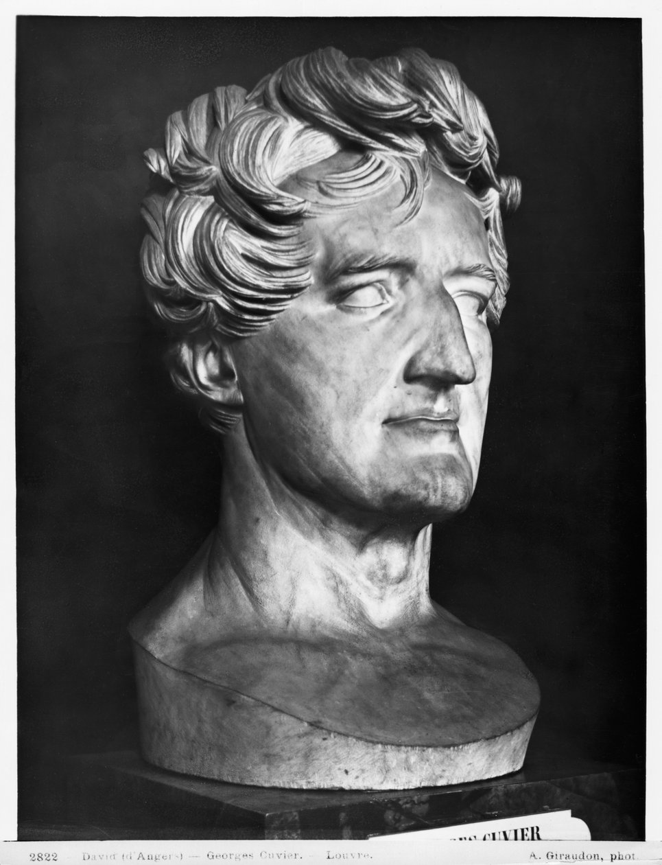 Georges Cuvier, 1833 (marmur) autorstwa Pierre Jean David d