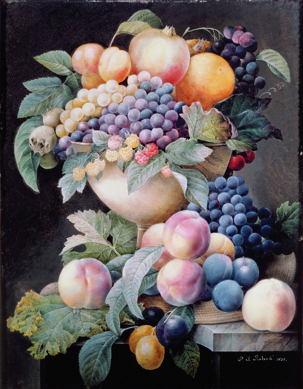 Owoce autorstwa Pierre Joseph Redouté